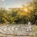 The Global Landscape Of Modern Wellness Is Undergoing a Shift Toward Cultural Ergonomics